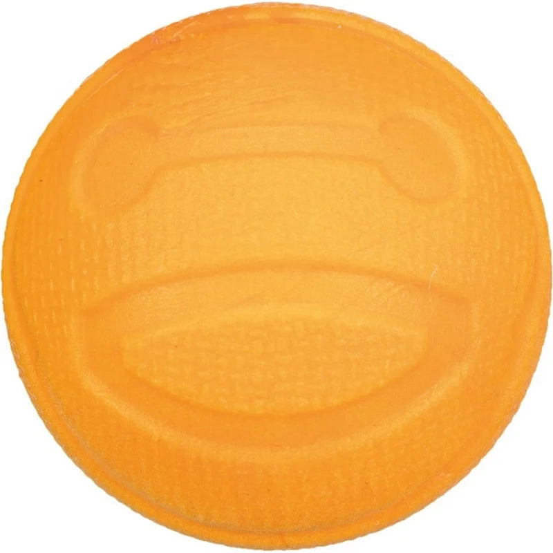 Grande Balle Flottante pour Chien – 17 cm