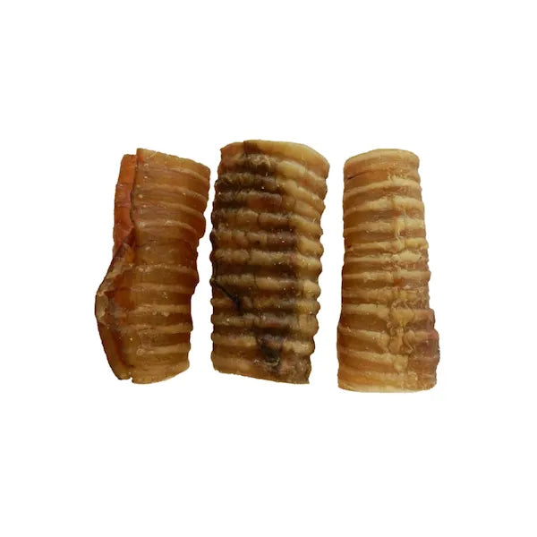 Friandise pour Chien : Trachée de Bœuf Séchée Naturelle à Mâcher