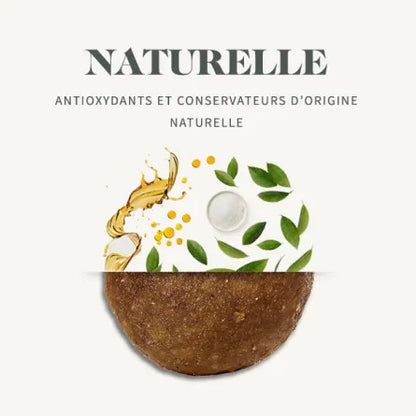 Croquettes Rénales Chien 2 kg – Soutien de la Fonction Rénale