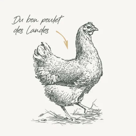 Croquettes pour Chat Stérilisé au Poulet  – Équilibre & Vitalité au Quotidien