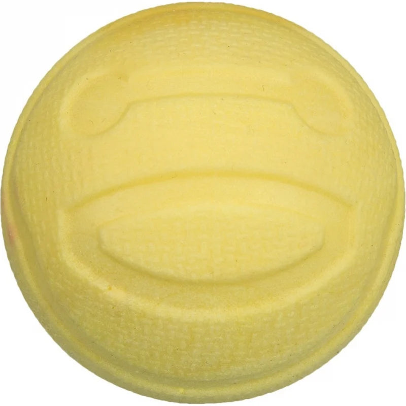 Balle flottante et résistante pour chien TRP 6 CM