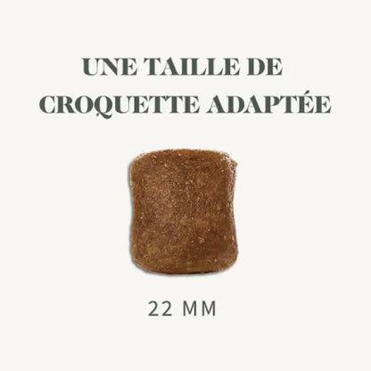 Croquettes Maxi Adulte 12 kg – Énergie & Vitalité pour Grands Chiens