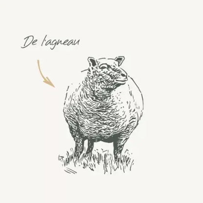 Croquettes Medium Adulte Agneau 12 kg – Digestion Sensible & Haute Tolérance