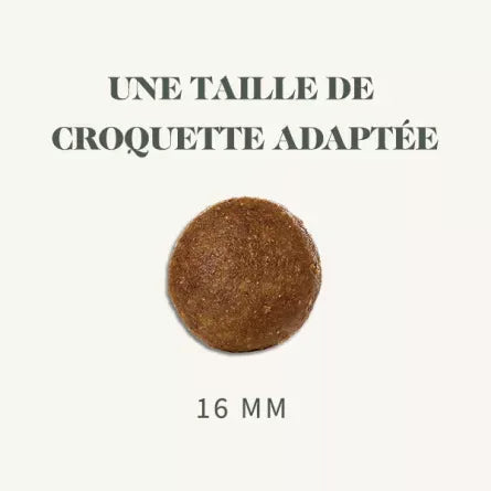 Croquettes Medium Stérilisé Canard 12 kg – Protéines de Qualité & Digestion Facile