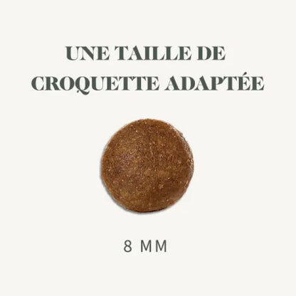 Croquettes Medium Junior 3 kg Sans Céréales – Croissance Saine & Digestion Facile